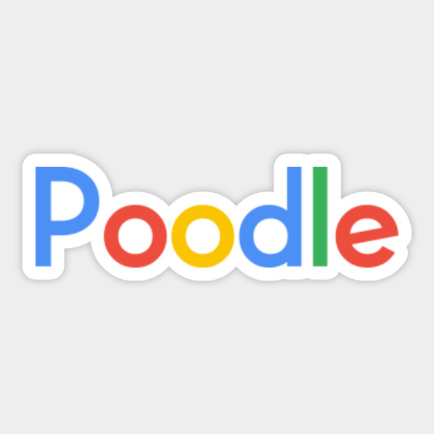 Poodle Google